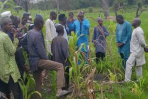 PHASE 3 DU PROGRAMME D&rsquo;APPUI AU SECTEUR DU DÉVELOPPEMENT RURAL À TCHAOUROU : Les engagés Up- R de la 8è CE émerveillent les peuls de Sakpanou
