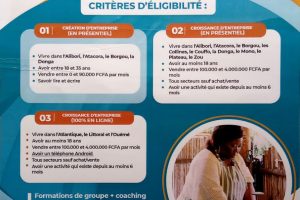 PROMOTION DE L&rsquo;ENTREPRENEURIAT AU BÉNIN : Le programme BeniBiz 2.0 envisage former 10.000 jeunes entrepreneurs