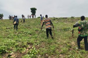 CAMPAGNE DE REBOISEMENT COMPENSATOIRE PAR LES ARTISANS MINIERS DE L&rsquo;ATACORA : Plus de 700 cent Plants mis en terre à Natitingou