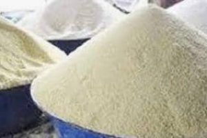 SANTÉ : Le « gari », un trésor nutritionnel dérivé du manioc et très riche
