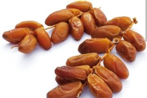 NUTRITION : Les dattes, un élixir nutritionnel pour le carême musulman
