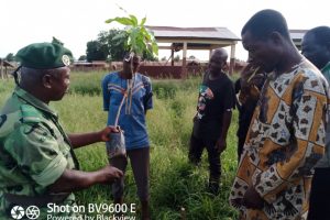 BOUKOMBÉ/JOURNÉE NATIONALE DE L&rsquo;ARBRE : 80 plants de manguier mis en terre à Dipoli en commémoration à cette célébration