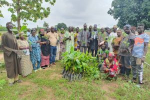 CÉLÉBRATION EN DIFFÉRÉ DE LA JOURNÉE NATIONALE DE L&rsquo;ARBRE : La Fanametrab met en terre des dizaines de plants variés à Koroborou