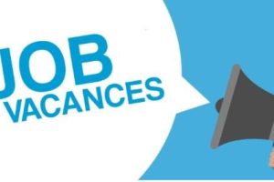 JOBS DE VACANCES : Opportunités pour les jeunes, mais à quel prix ?