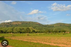 PROTECTION DES RESSOURCES NATURELLES : S&rsquo;adapter au changement climatique pour protéger les ressources naturelles