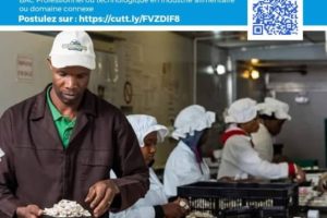 PSIE BÉNIN / UN RECRUTEMENT LANCÉ : 34 chercheurs d’emploi bientôt soulagés