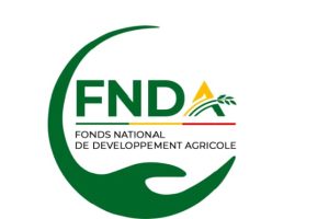 FINANCEMENT AGRICOLE AU BÉNIN : Plus de 70 milliards décaissés en 3 ans pour soutenir les producteurs