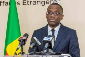 RÉOUVERTURE DES FRONTIÈRES BÉNIN-NIGER : Le ministre des Affaires étrangères Olushegun Bakari reste optimiste