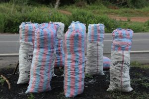 TRANSPORT DU CHARBON DE BOIS ET DE BOIS DE CHAUFFE À USAGE DOMESTIQUE : De nouvelles mesures en vigueur au Bénin