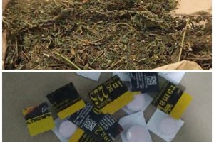 NATITINGOU : Deux individus interpellés et incarcérés pour vente de substances prohibés