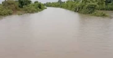 IMG-20250811-WA0000