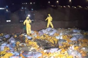 LUTTE CONTRE LE TRAFIC ET LA CONSOMMATION DE PRODUITS PSYCHOTROPES AU BÉNIN : Plus de 100 tonnes de drogues incinérées à Ouidah