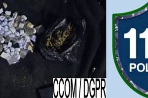 LUTTE CONTRE LA DÉLINQUANCE À LA FRONTIERE BENINO-NIGERIANE : Une opération de trafic des produits psychotropes déjouée à Illara