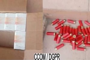 LUTTE CONTRE L&rsquo;INSÉCURITÉ AUX FRONTIÈRES TERRESTRES : 500 munitions de calibre 12 saisies à Kassouala