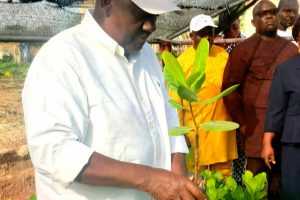 CAMPAGNE AGRICOLE 2026-2027 : Le ministre donne le top et promet une agriculture de hausse