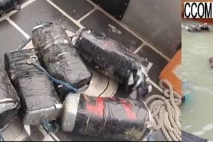 LUTTE CONTRE LE TRAFIC DES STUPÉFIANTS : 90 kg de cocaïne saisis au port de Cotonou